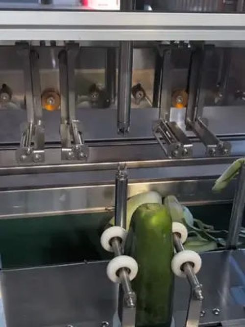 机械设备在食品加工与粮食加工中的关键作用与发展趋势