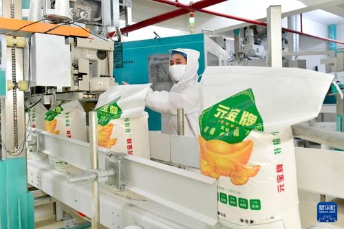 山东兖州 深耕粮食沃土，崛起食品加工产业新高地