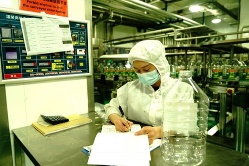 沪上粮企生产忙 全链管控筑牢粮食安全根基