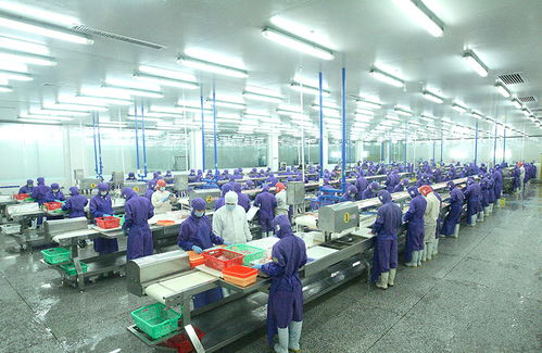 海南重点外贸企业全面复工 水产加工出口复产达100%，粮食加工品供应稳中有进